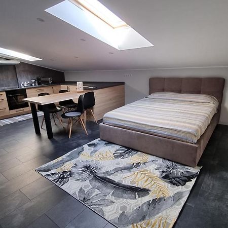 Mansarda Apartment Kamianets-Podilskyi Luaran gambar