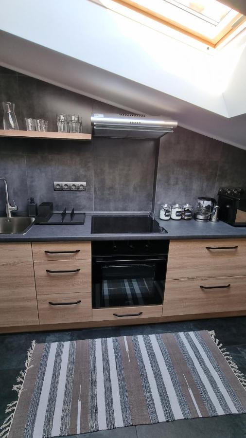 Mansarda Apartment Kamianets-Podilskyi Luaran gambar