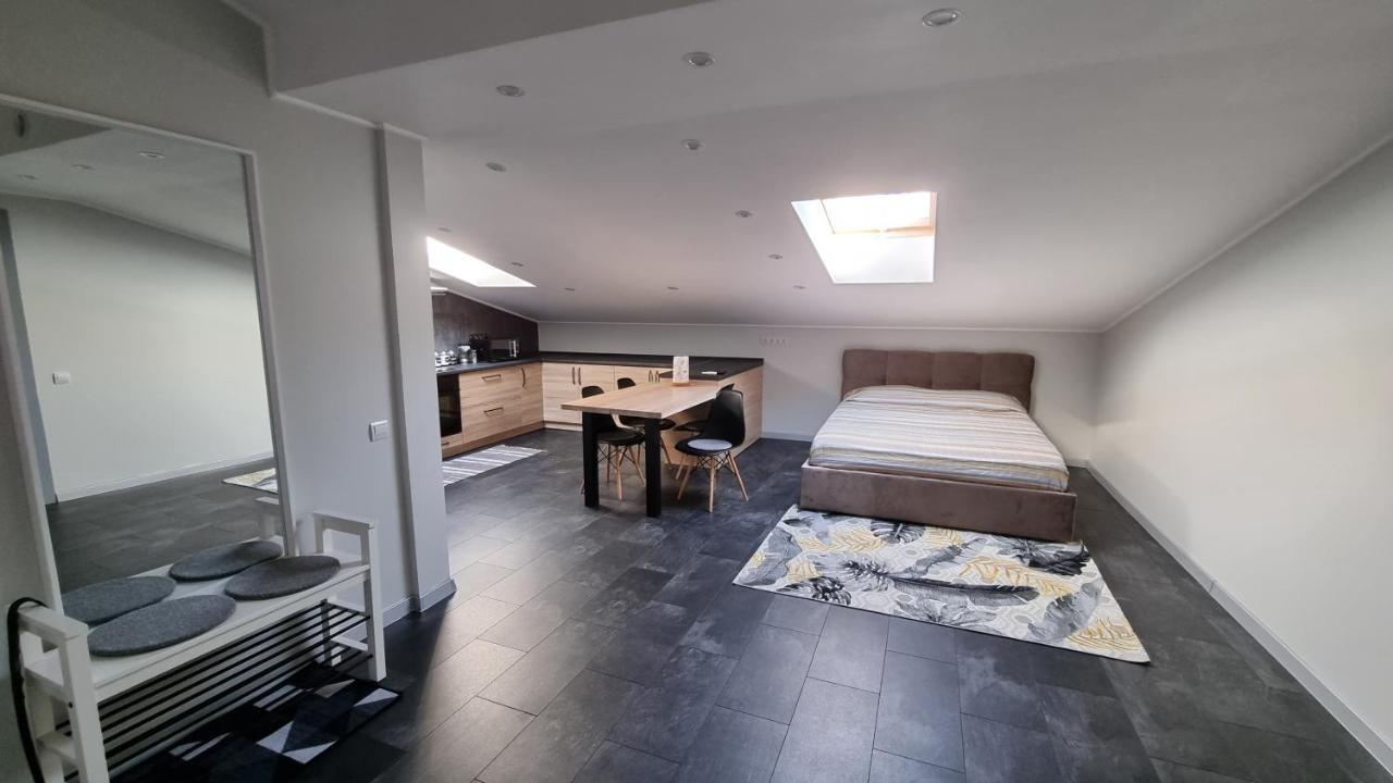 Mansarda Apartment Kamianets-Podilskyi Luaran gambar