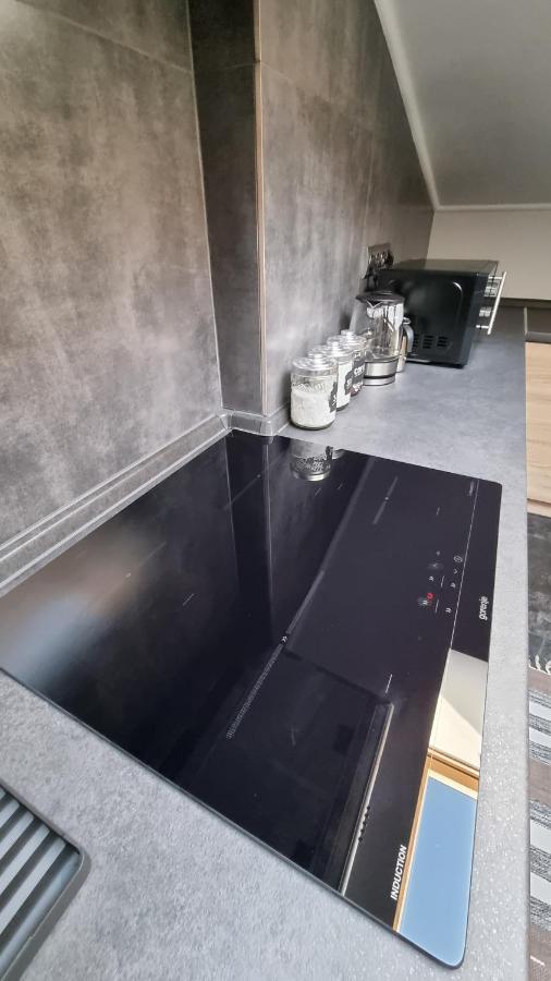 Mansarda Apartment Kamianets-Podilskyi Luaran gambar